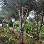 Leonida Διαμέρισμα Capoliveri (Isola d'Elba)