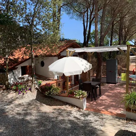 Apartment Leonida