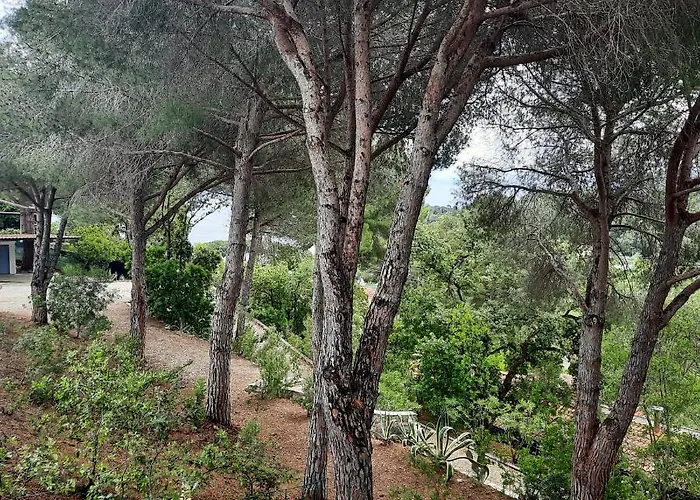 Leonida Apartman Capoliveri